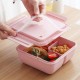 ظرف غذا گیاهی با قاشق و چاپستیک Lunch Box