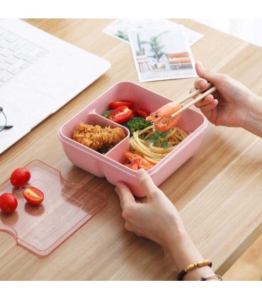 ظرف غذا گیاهی با قاشق و چاپستیک Lunch Box