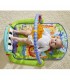 پلی جیم ارگ دار نوزاد فیشر پرایس Fisher Price - 1