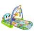 پلی جیم ارگ دار نوزاد فیشر پرایس Fisher Price - 1