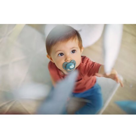پستانک الترا ایر اونت 6-18 ماه طرح پرنده و گندم Philips Avent