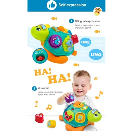 اسباب بازی آموزشی لاک پشت موزیکال وین فان Win Fun
